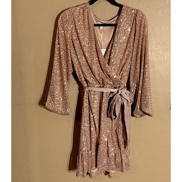 NWT LC Lauren Conrad LS long Sleeve champagne sequin midi dress Large GORGEOUS - Picture 3 of 10